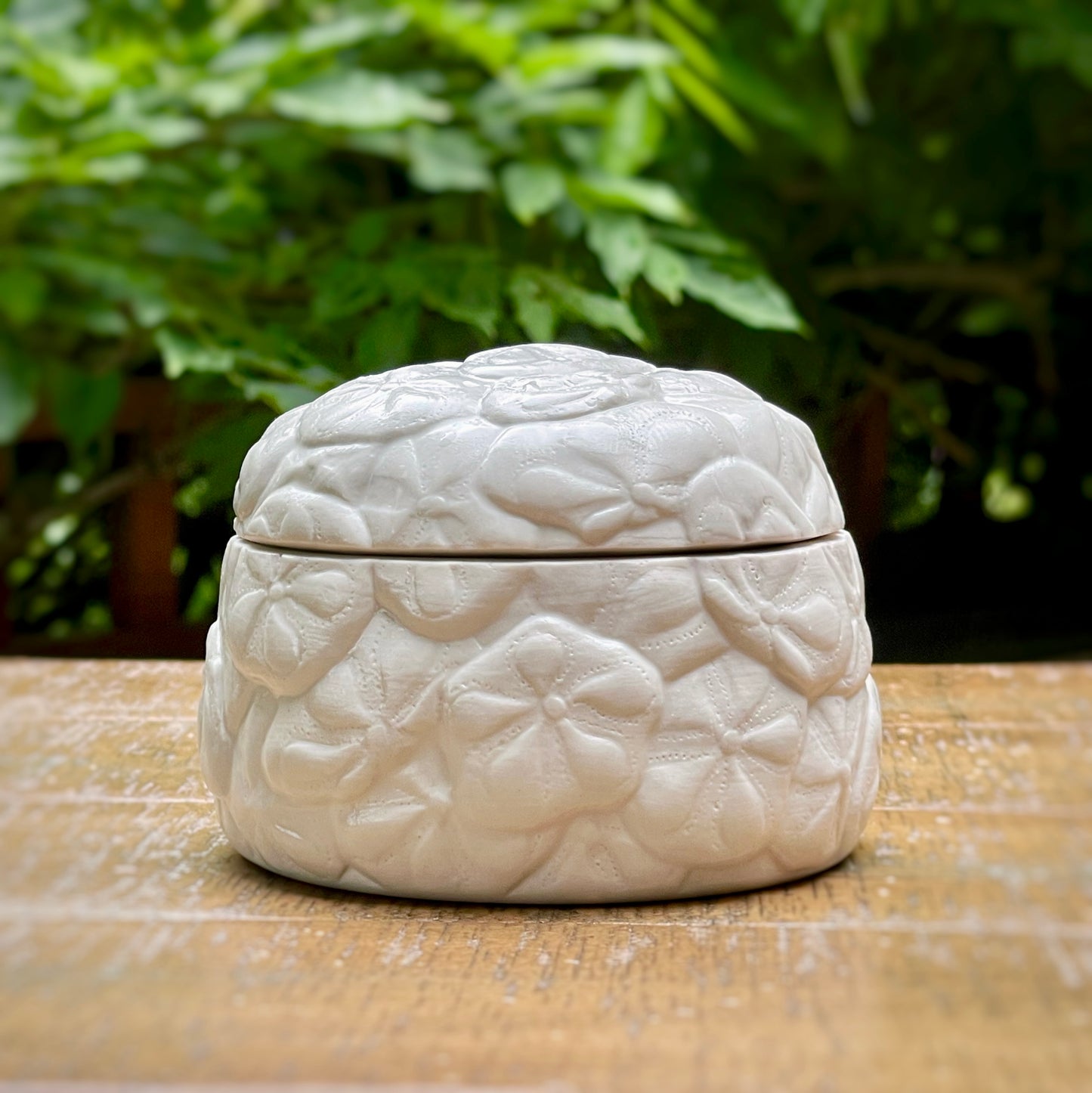 Sand Dollar Box
