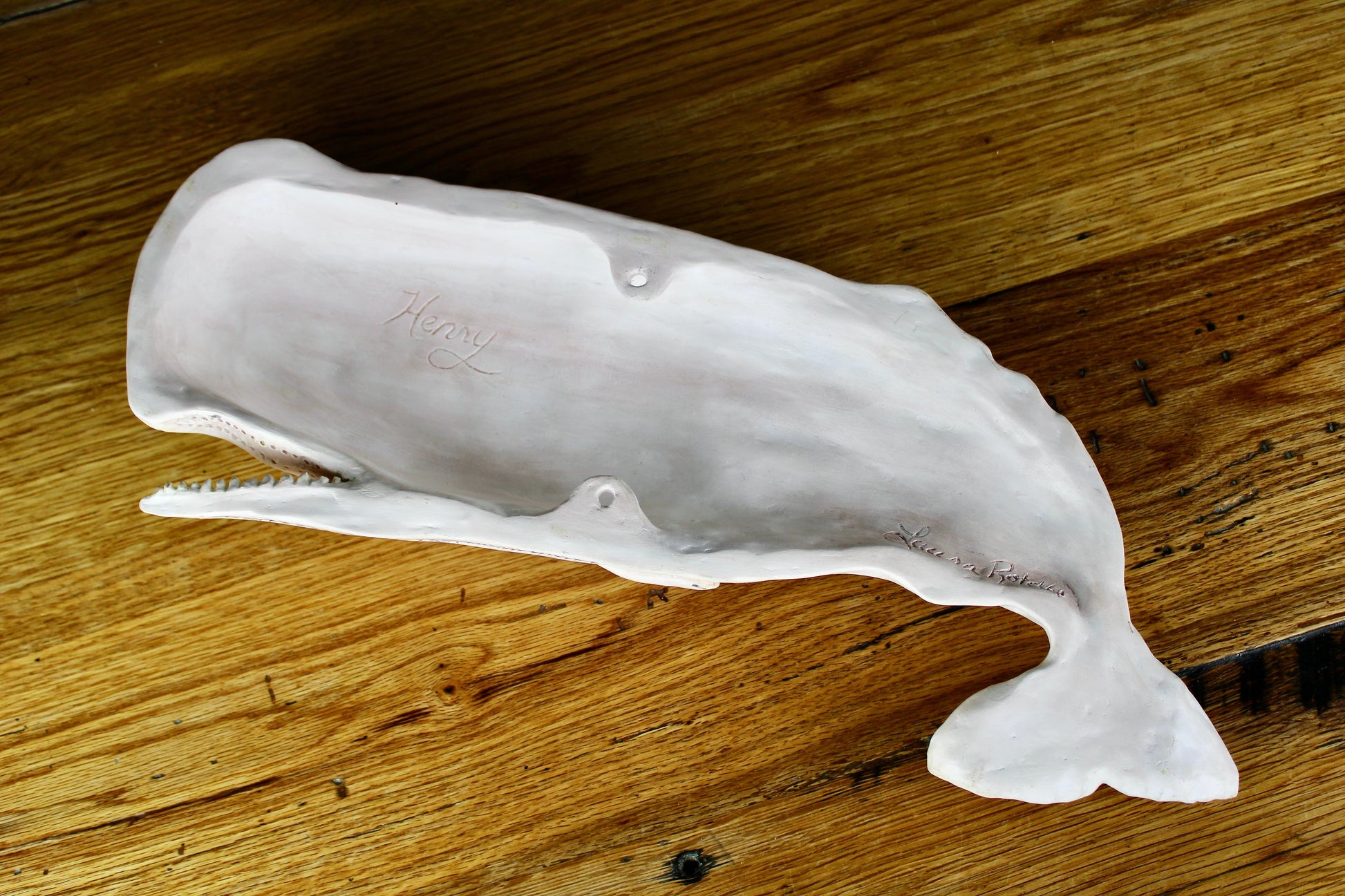 Hanging sperm whale sculpture by Laura Rotelli