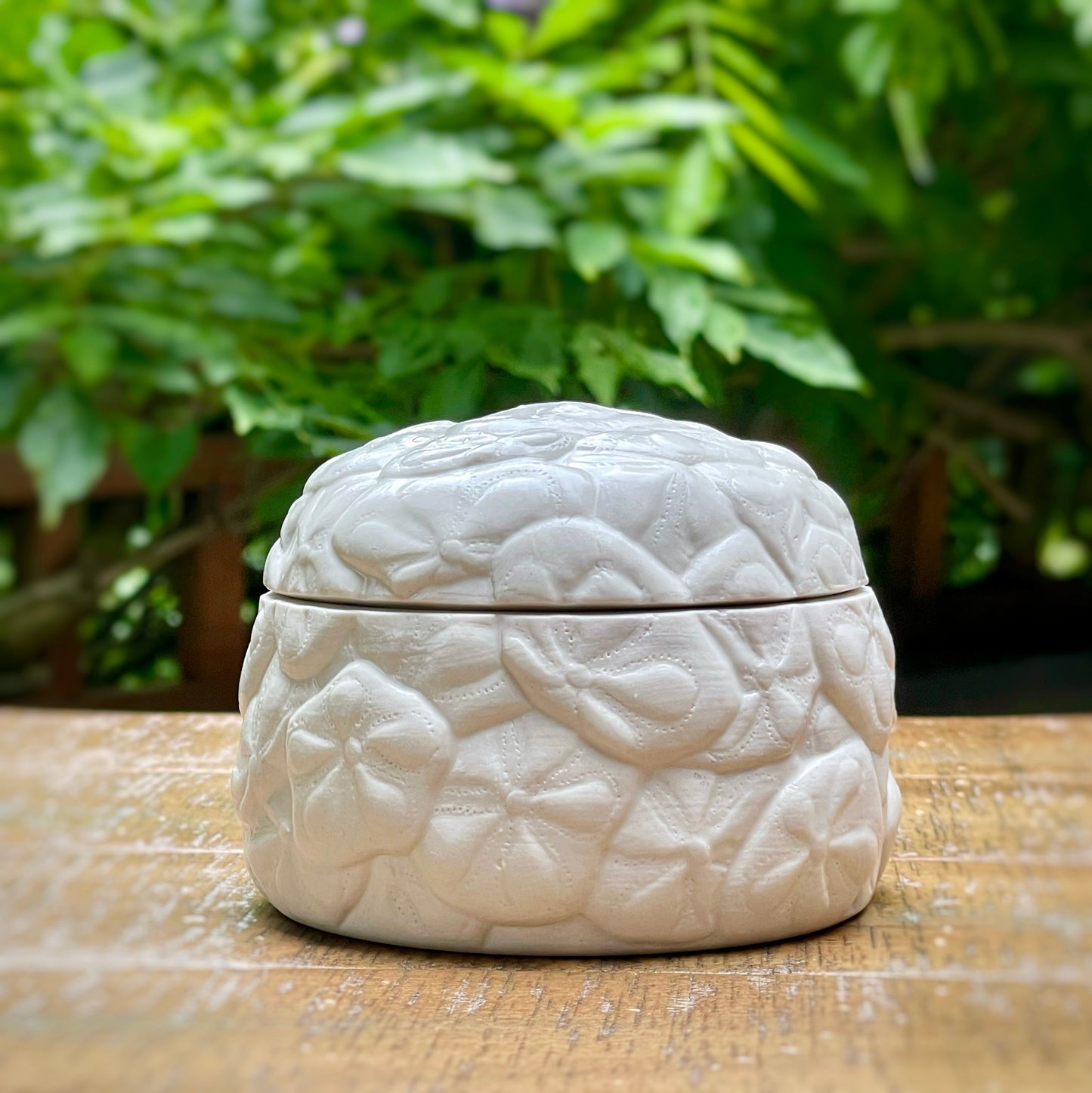 Sand Dollar Box