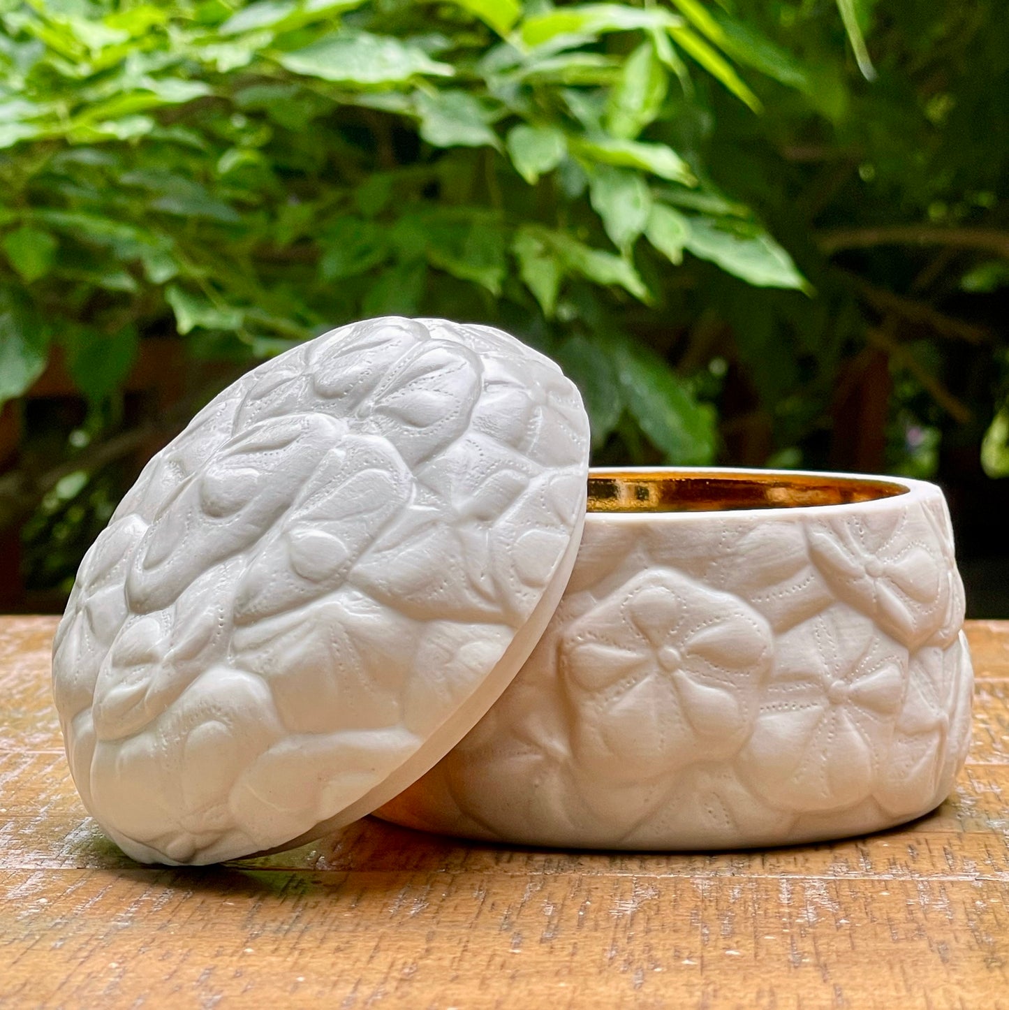 Sand Dollar Box