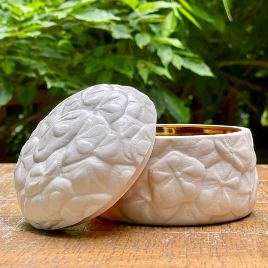 Sand Dollar Box