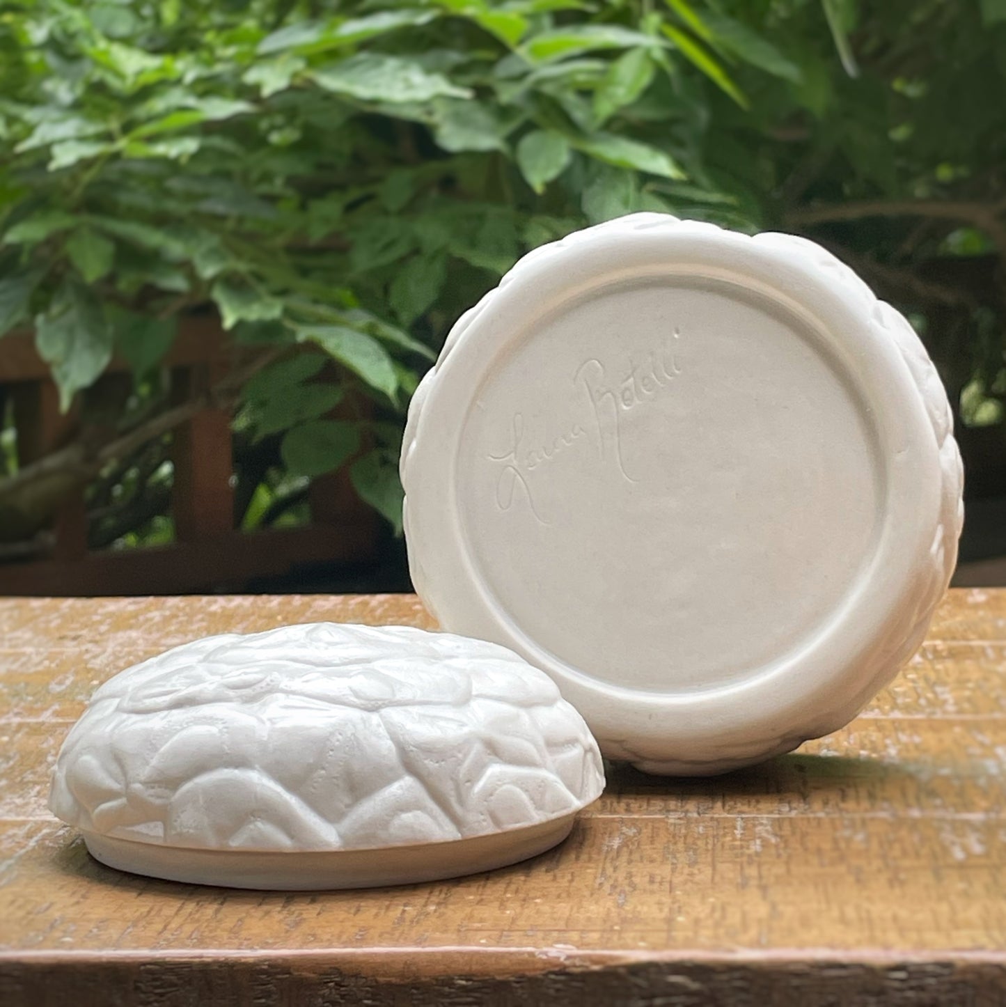 Sand Dollar Box