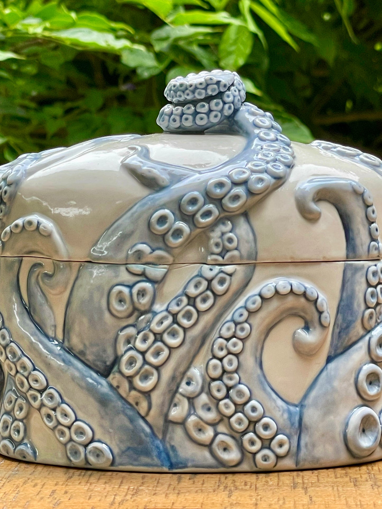 Tentacle Box
