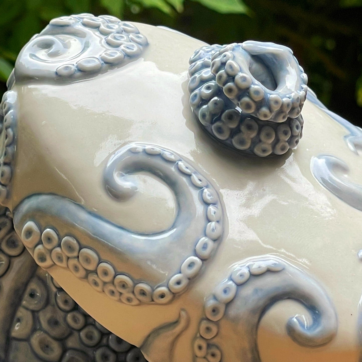 Tentacle Box